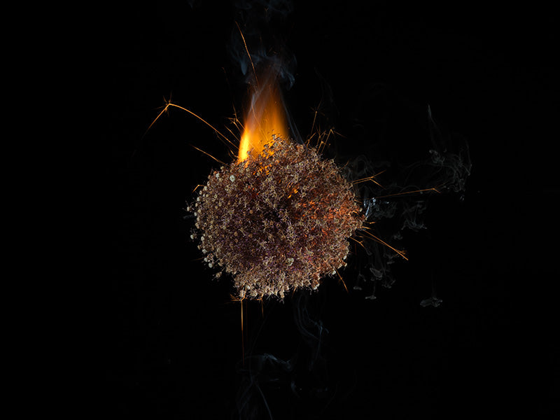 Underwater photograph exploding flower series sparks energy shot Warm Low Light tonality from the Fusion series