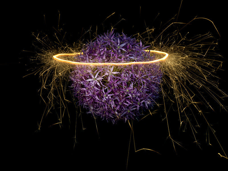 Underwater photograph exploding flower series sparks energy shot Warm Low Light tonality from the Fusion series