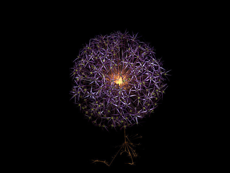 Underwater photograph exploding flower series sparks energy shot Warm Low Light tonality from the Fusion series
