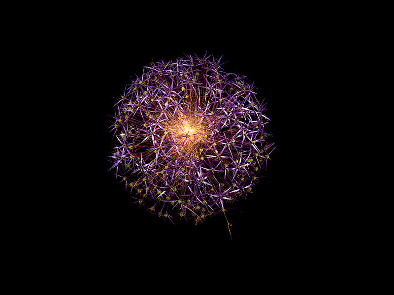 Underwater photograph exploding flower series sparks energy shot Warm Low Light tonality from the Fusion series