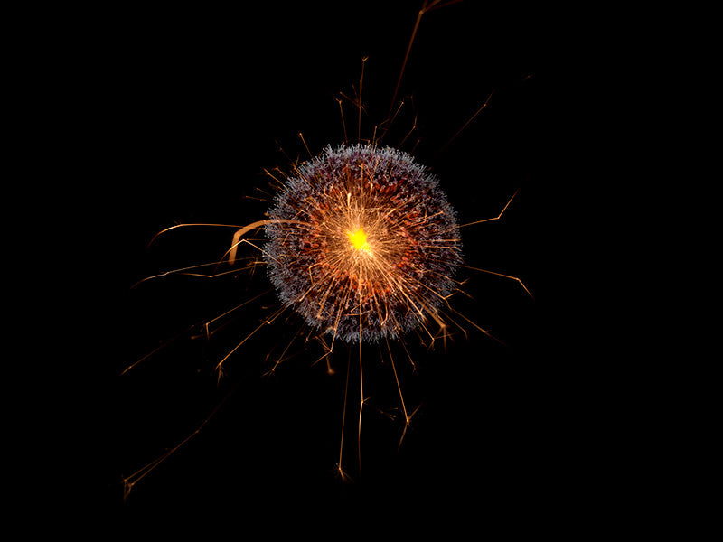 Underwater photograph exploding flower series sparks energy shot Warm Low Light tonality from the Fusion series