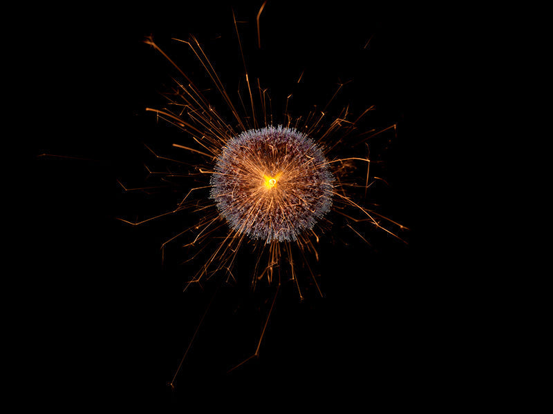 Underwater photograph exploding flower series sparks energy shot Warm Low Light tonality from the Fusion series