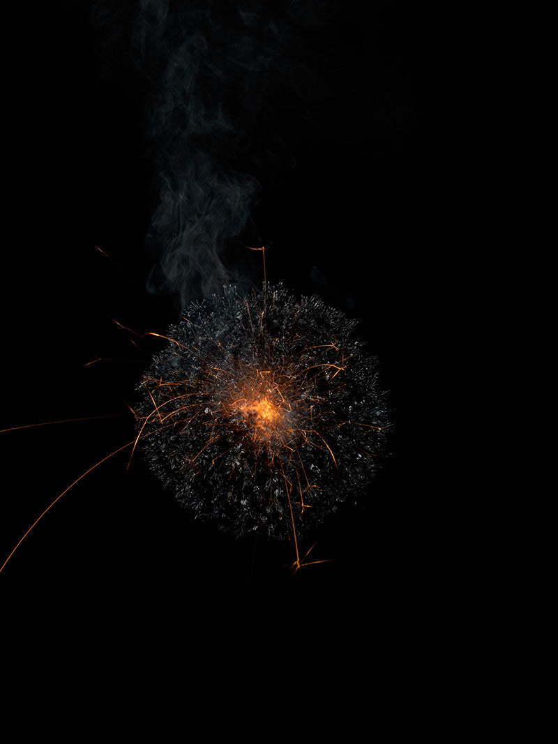 Underwater photograph exploding flower series sparks energy shot Warm Low Light tonality from the Fusion series