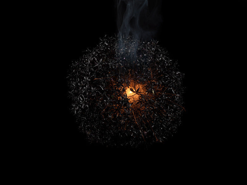 Underwater photograph exploding flower series sparks energy shot Warm Low Light tonality from the Fusion series