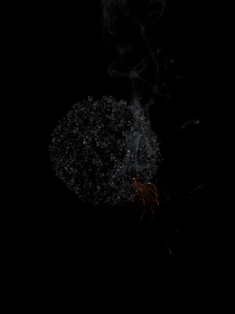 Underwater photograph exploding flower series sparks energy shot Warm Low Light tonality from the Fusion series