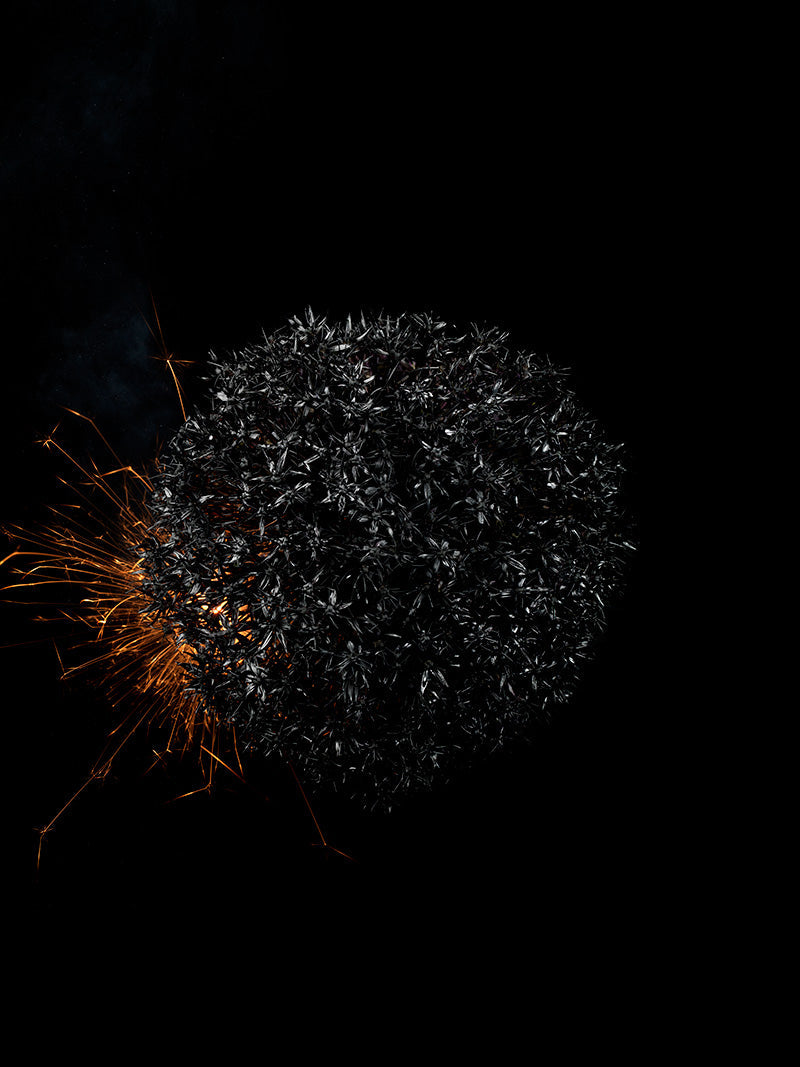 Underwater photograph exploding flower series sparks energy shot Warm Low Light tonality from the Fusion series