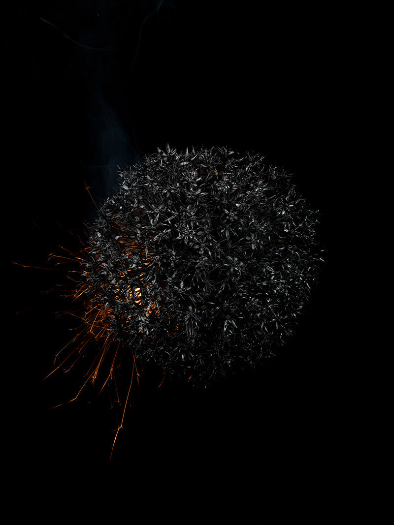 Underwater photograph exploding flower series sparks energy shot Warm Low Light tonality from the Fusion series