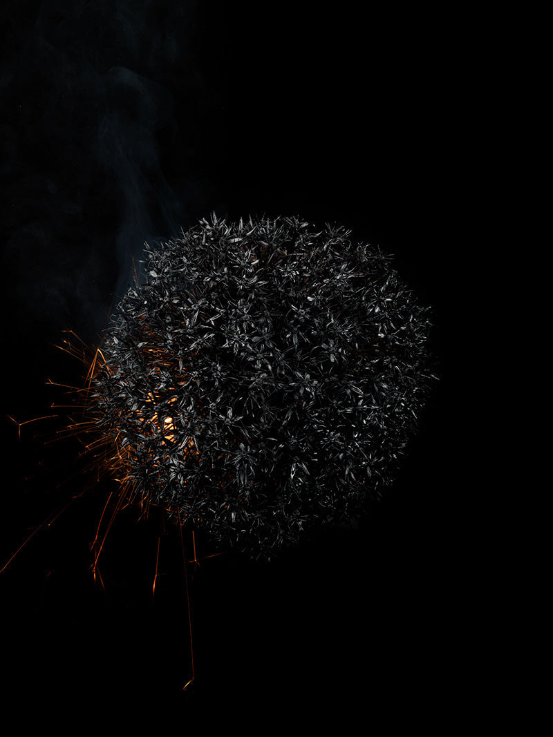 Underwater photograph exploding flower series sparks energy shot Warm Low Light tonality from the Fusion series