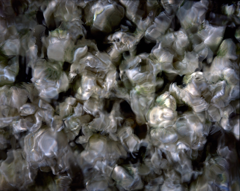 Underwater photograph floral asbtract Warm Mid Tone tonality