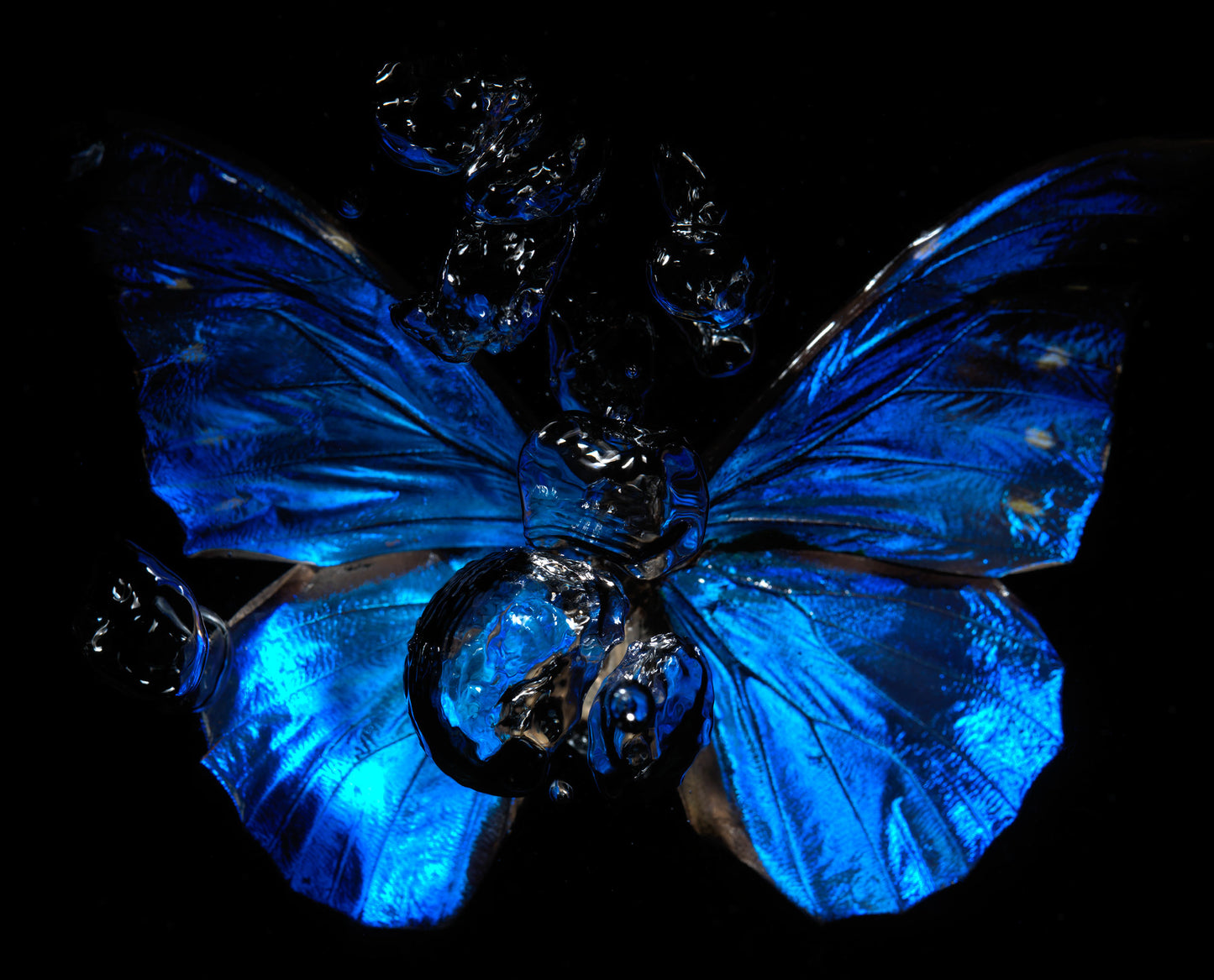 Transparency of a dream illuminated. Plate XII photographic print - €6950 | Shop now & buy direct from the artists studio - Distil Ennui ™ est.1990.