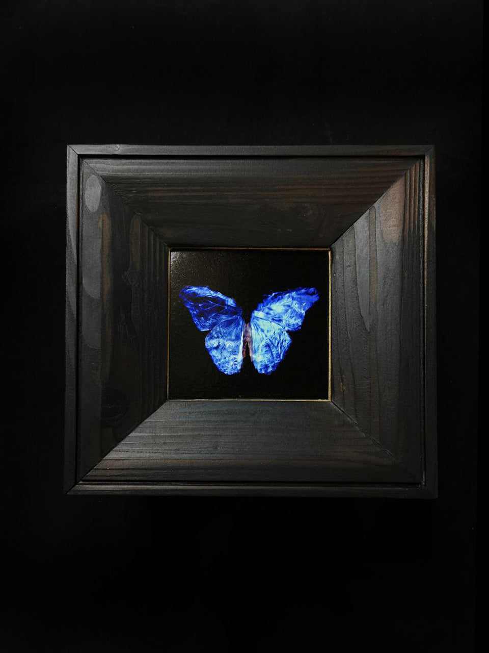 copper mounted & framed 'Mirror of the goddess No.IV' photographic butterfly print - €360 | Shop now & buy direct from the artists studio - Distil Ennui ™ est.1990.