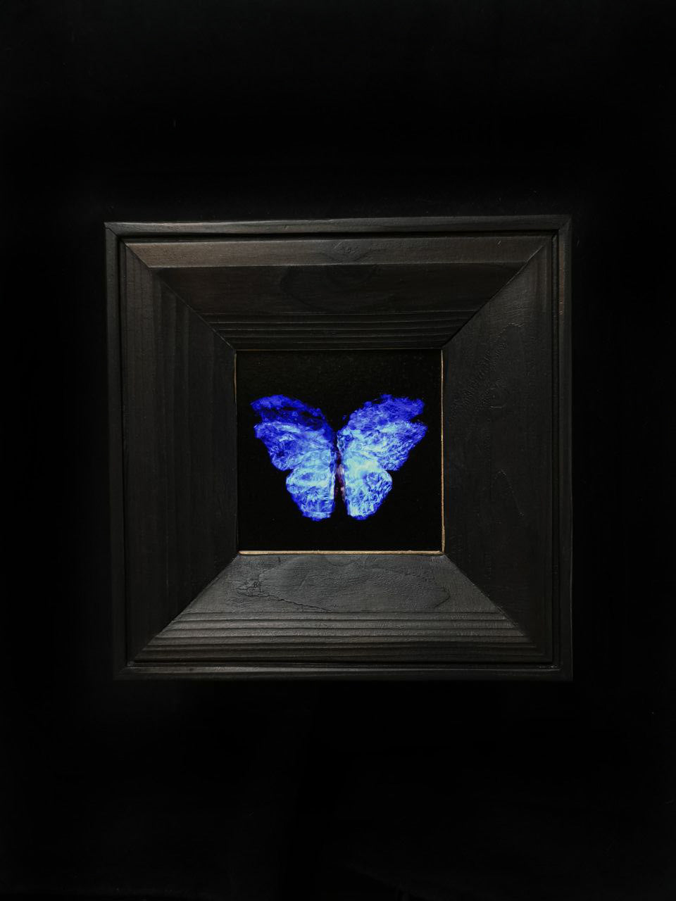copper mounted & framed 'Mirror of the goddess No.II' photographic butterfly print - €360 | Shop now & buy direct from the artists studio - Distil Ennui ™ est.1990.