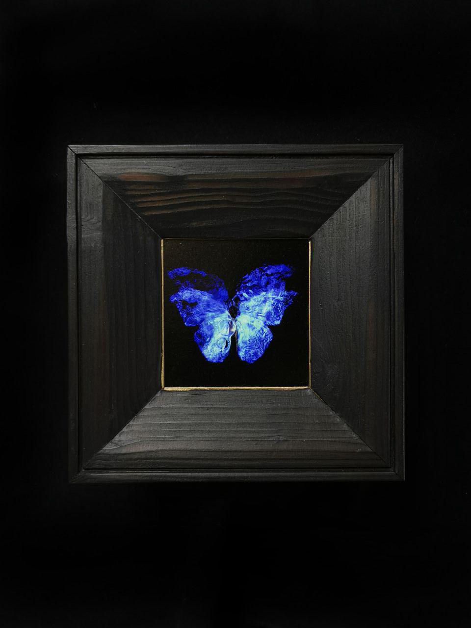 copper mounted & framed 'Mirror of the goddess No.I' photographic butterfly print - €360 | Shop now & buy direct from the artists studio - Distil Ennui ™ est.1990.
