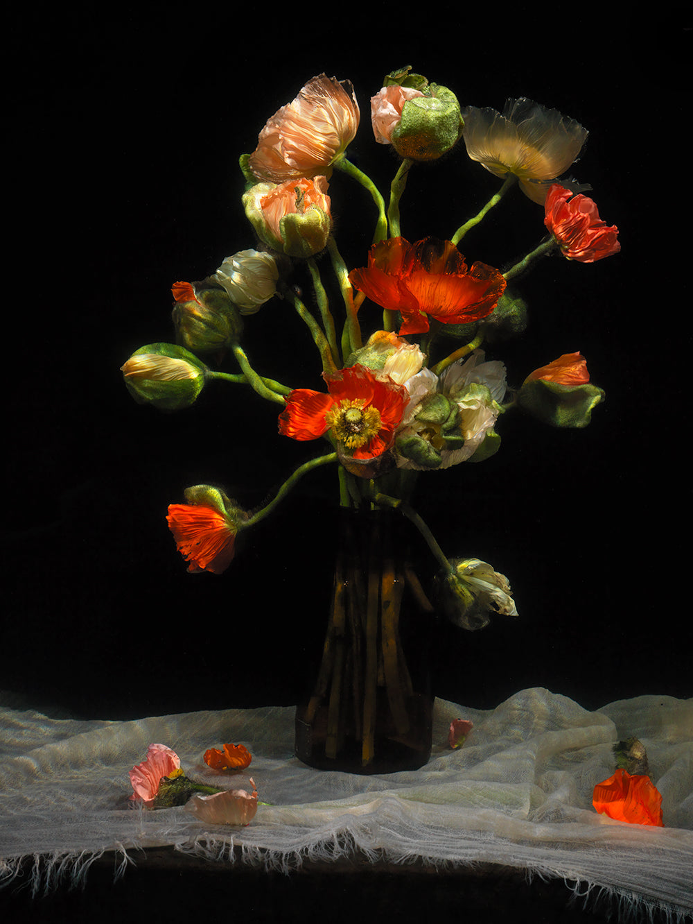 Underwater symbolic print by contemporary artist