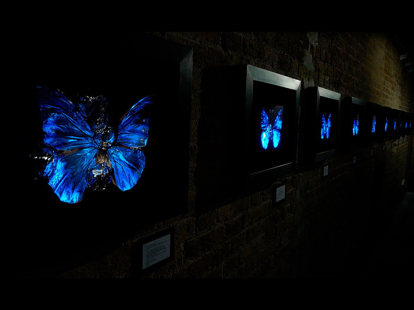 Transparency of a dream illuminated. Plate V photographic print - €6950 | Shop now & buy direct from the artists studio - Distil Ennui ™ est.1990.