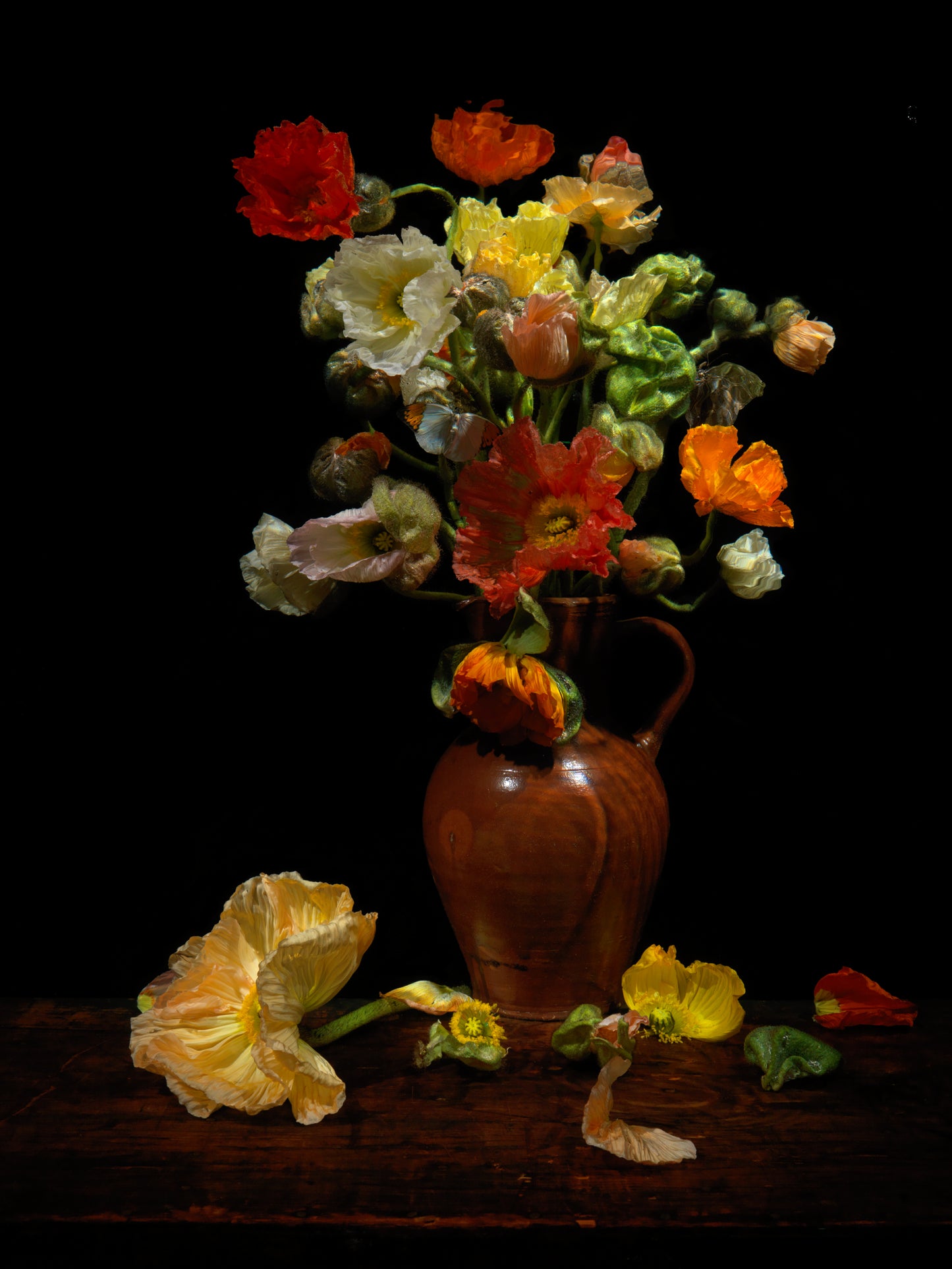 Vanitas still life with poppies in ceramic vessel