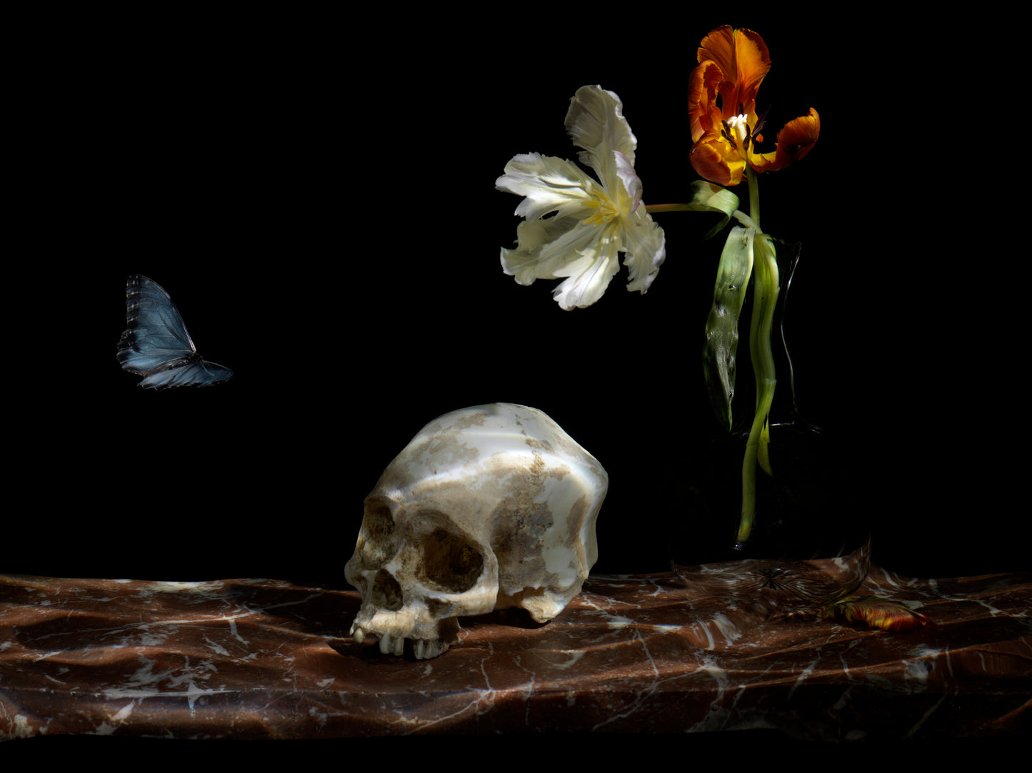 Vanitas composition with skull, flowers, and butterfly