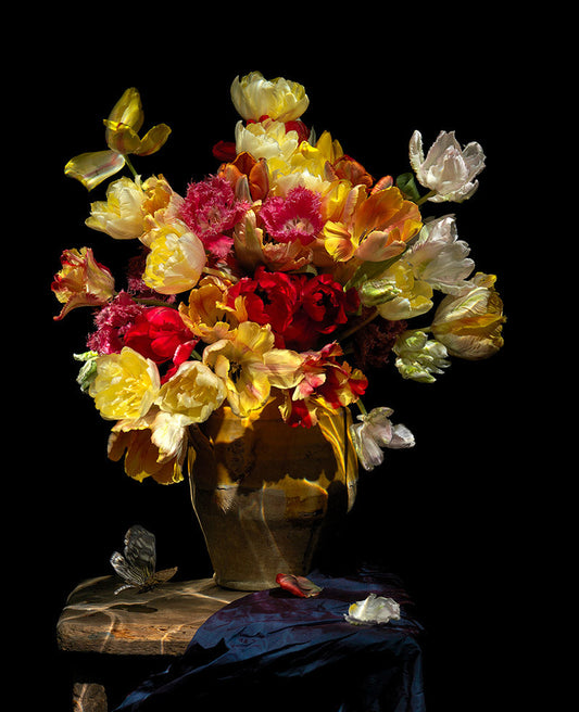 The Structure of Light: On Caustics