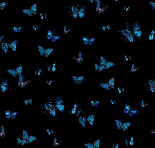 A studio designed Morpho blue butterfly wallpaper