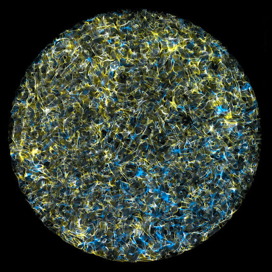 Laser Interferometer Space Antenna (LISA) mission