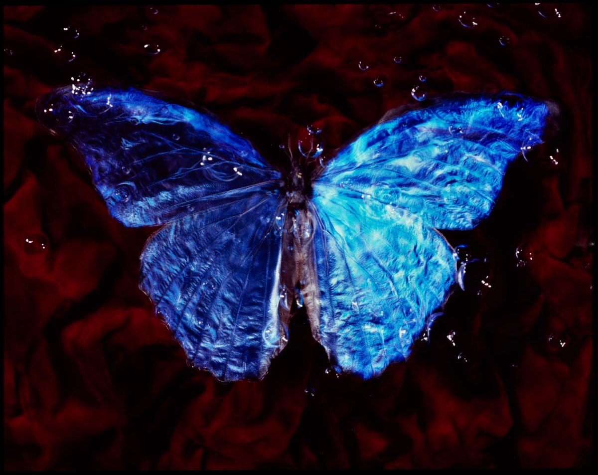 Holding Light by water artist Alexander James Hamilton