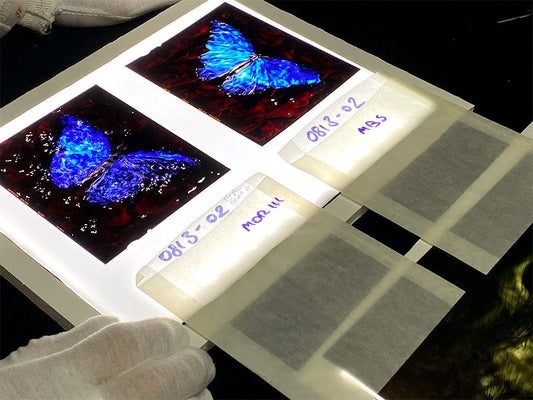 Making the decision as an artist to be self represented