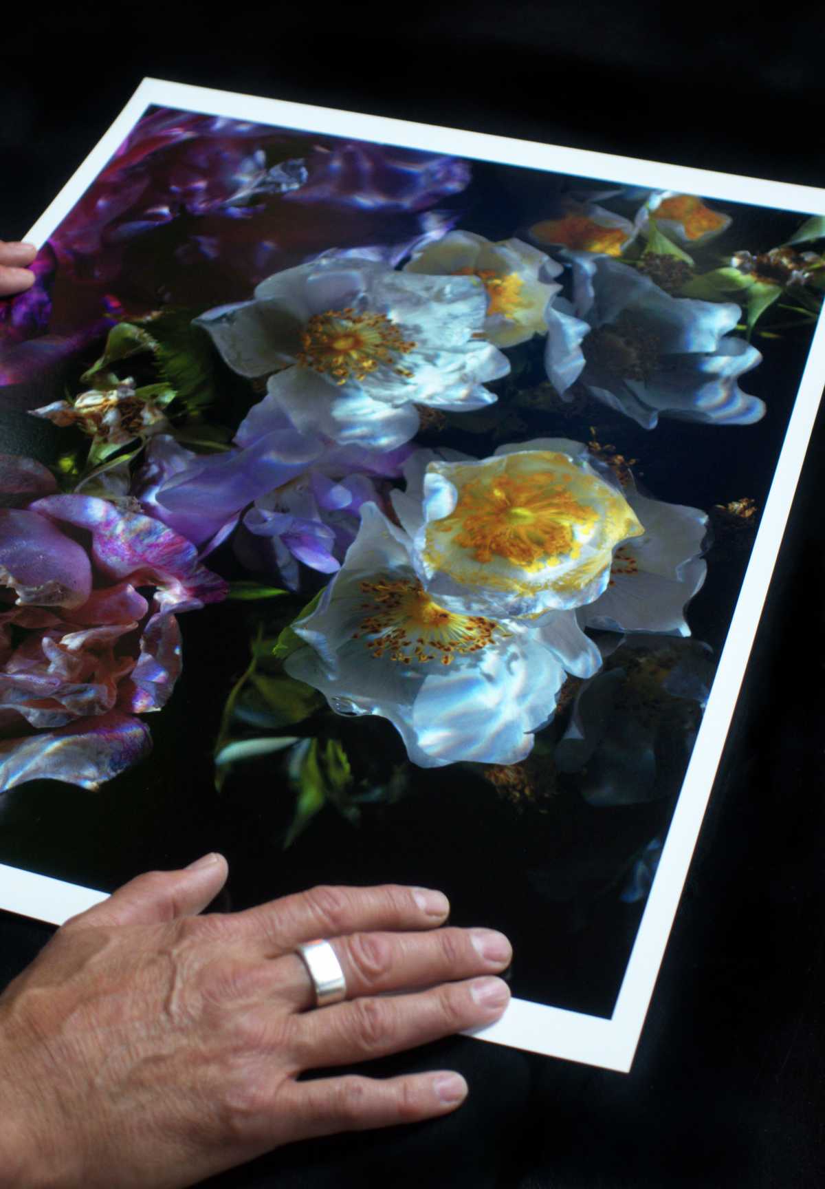 Floral Vanitas Drop - Unique Prints From A Limited Collection Of 100