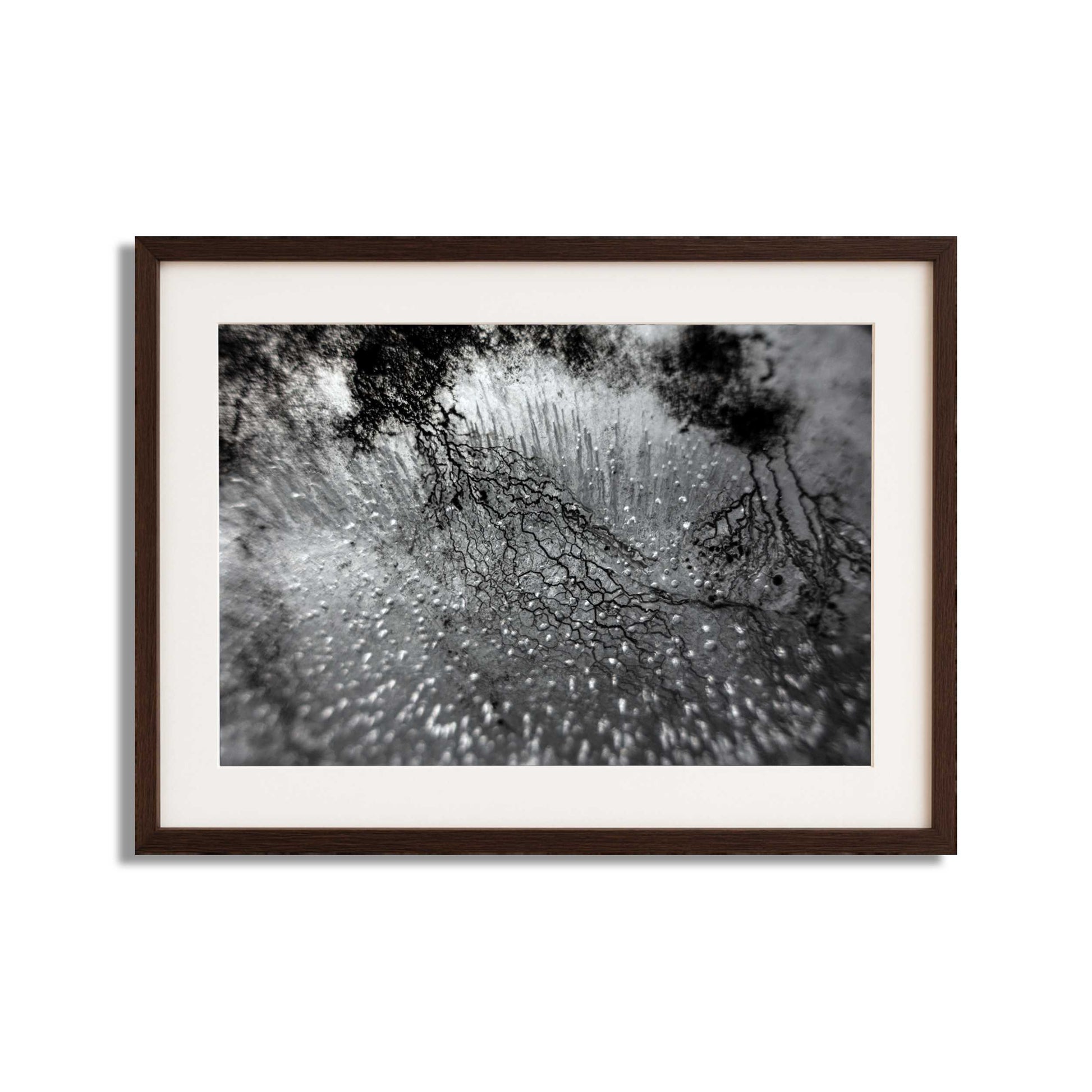Enthalpy of fusion ´Plate No. 00882´  photographic print - €2300 | Shop now & buy direct from the artists studio - Distil Ennui ™ est.1990.
