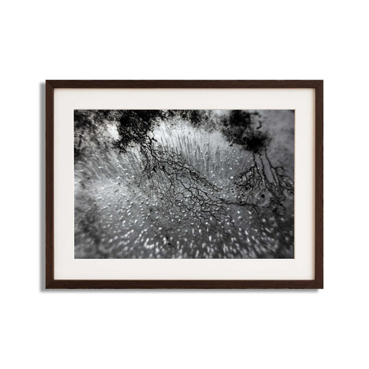 Enthalpy of fusion ´Plate No. 00882´  photographic print - €2300 | Shop now & buy direct from the artists studio - Distil Ennui ™ est.1990.