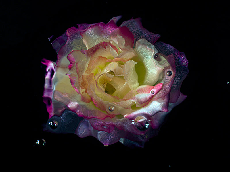 Underwater elegant Glass Flower Photography Series
