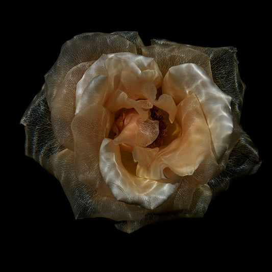 Underwater Florascapes: Ethereal Glass Flower Collection