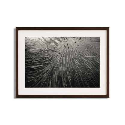 Enthalpy of fusion ´Plate No. 01176´  photographic print - €2300 | Shop now & buy direct from the artists studio - Distil Ennui ™ est.1990.