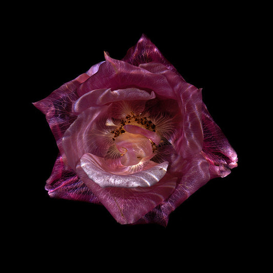 Botanical Aqua Dreams Radiant Underwater Glass Blossoms