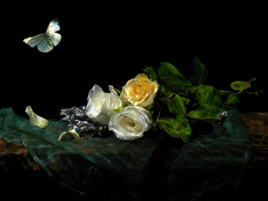 Temptation of Isis, Underwater Vanitas Print  photographic print - €3200 | Shop now & buy direct from the artists studio - Distil Ennui ™ est.1990.