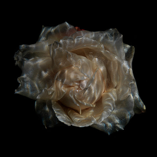 See-Through Petal Parade Radiant Submerged Blossom Showcase