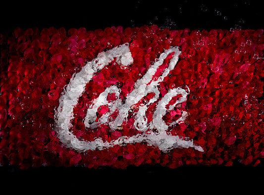 seeing the coca cola coke brand in a new light a modern corporate vanias