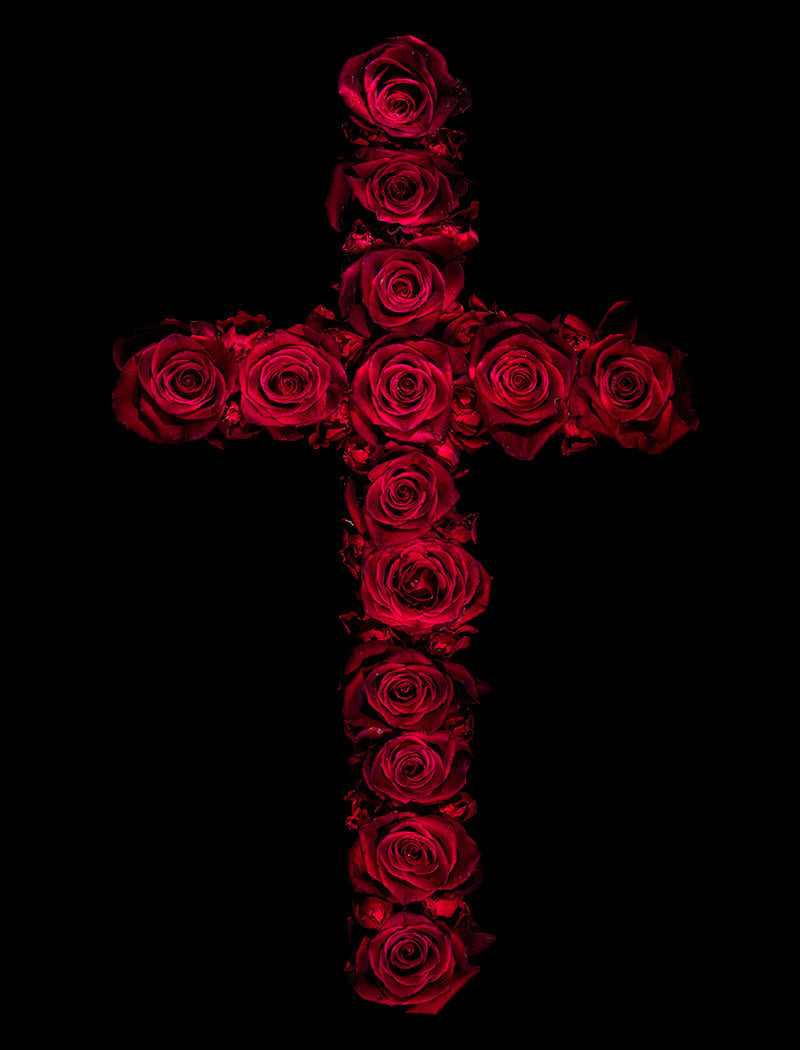 Celebrity Petals Exploring Fame Through Underwater Floral Art