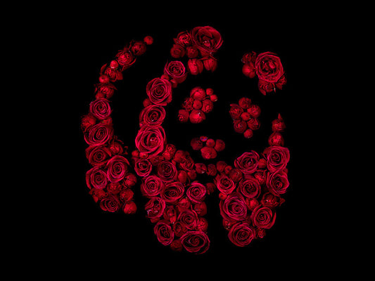 Floral Fame Single Specimens Embodying Media and Celebrity