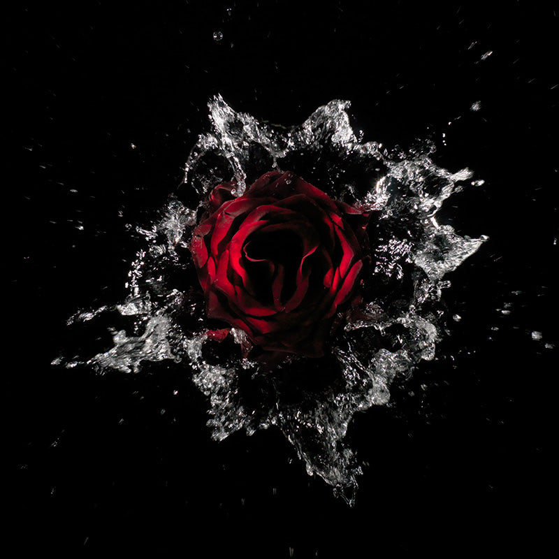 capturing the delicate splash patterns created by flowers entering water at speed