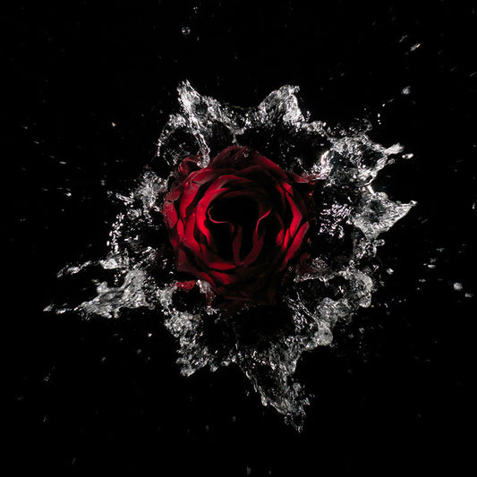 capturing the delicate splash patterns created by flowers entering water at speed