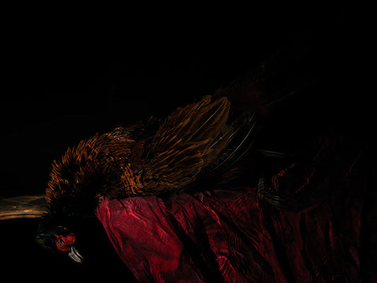 an underwater vanitas scene traditional and yet contemporary