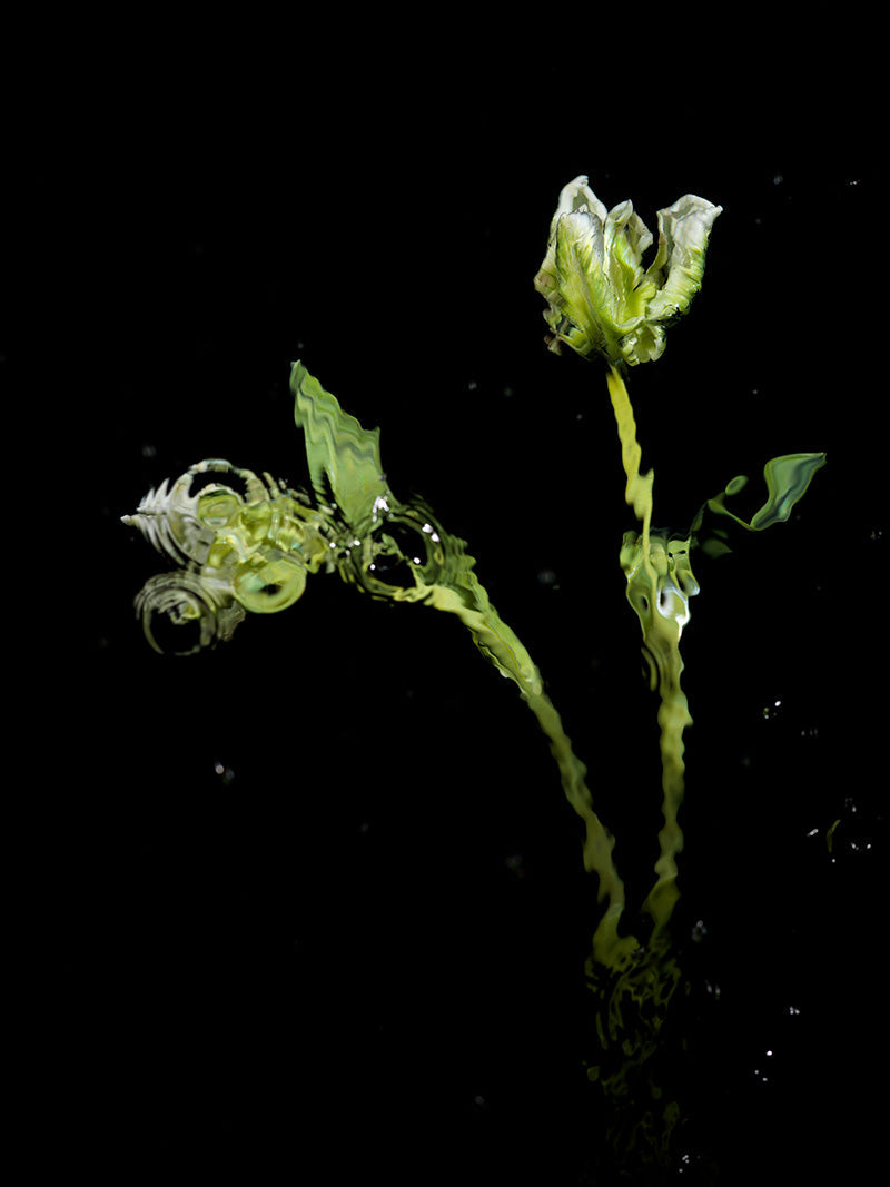 white underwater floral tribute vanitas for a modern world