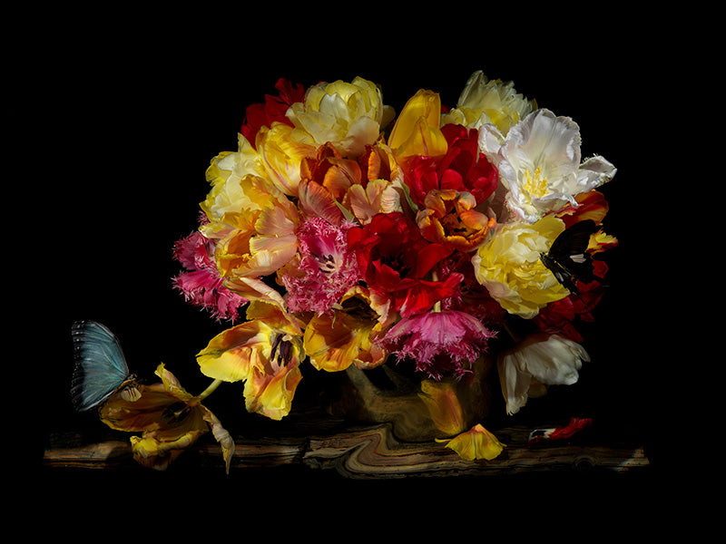 a modern day vanitas set in water creates a painterly scene rich of flowers and life