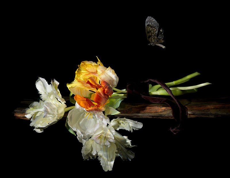 the frequency of the waters own wave energy affects this floral vanitas scene