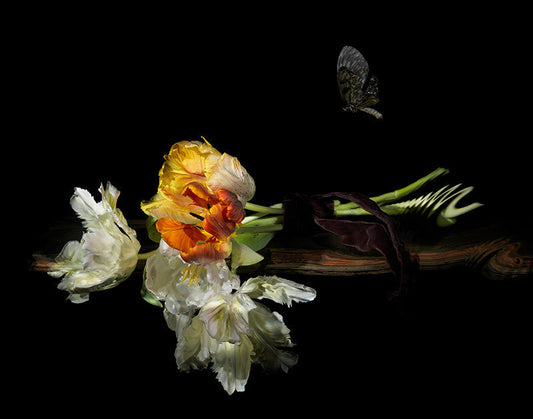 water wave energy effecting a photographic vanitas scene scientific process to create artworks