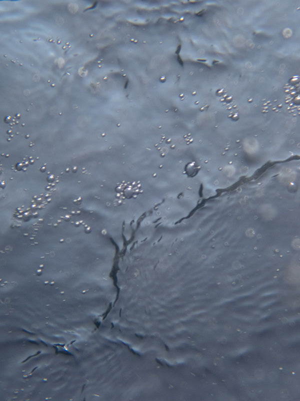 organic forms created within water bubbles