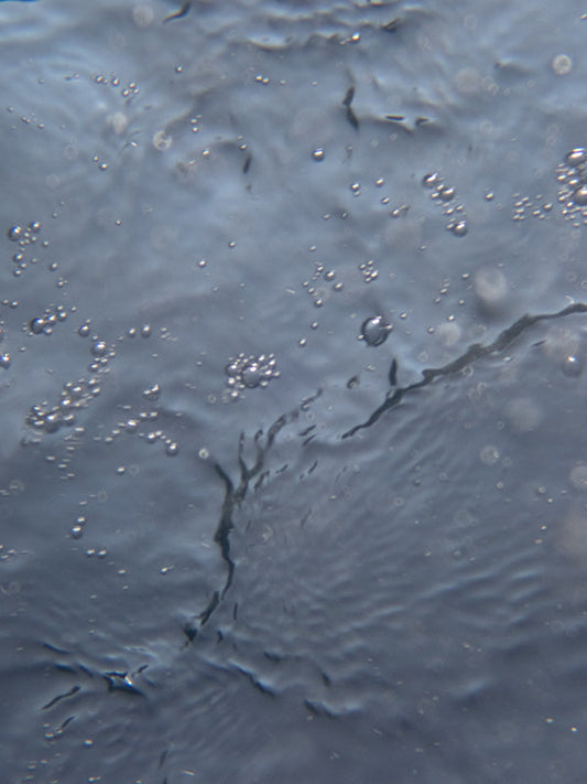organic forms created within water bubbles