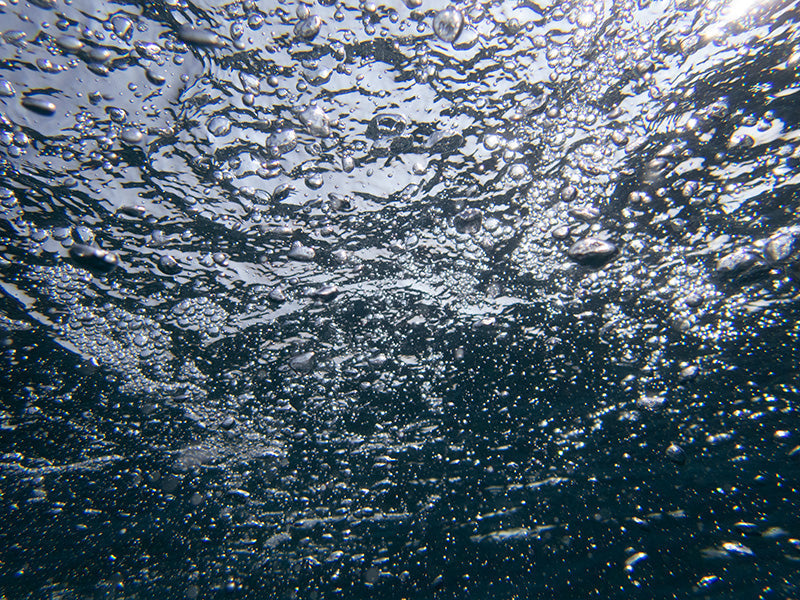 Water Meets Air: The Art of Underwater Bubble Forms