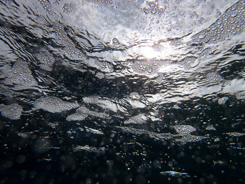 Serenity in Water: The Art of Bubble Photography 