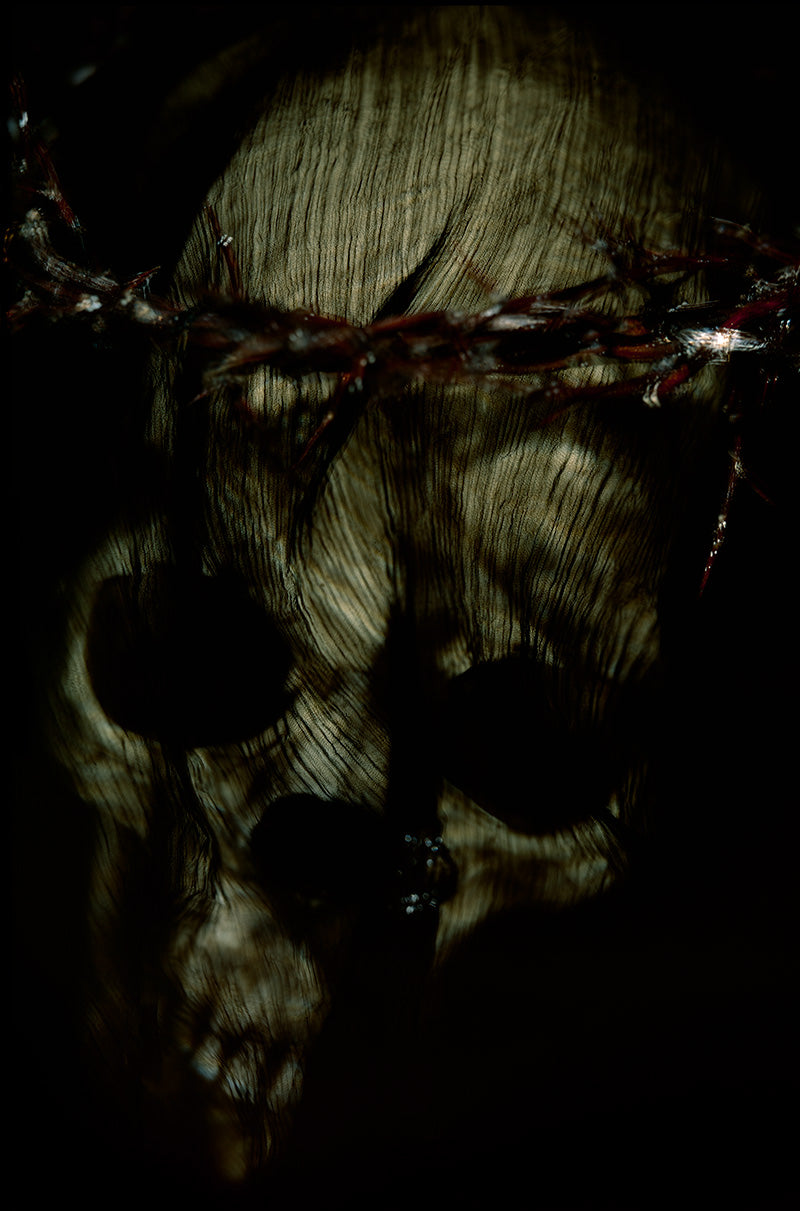 a human skull veiled with a crown of thorns